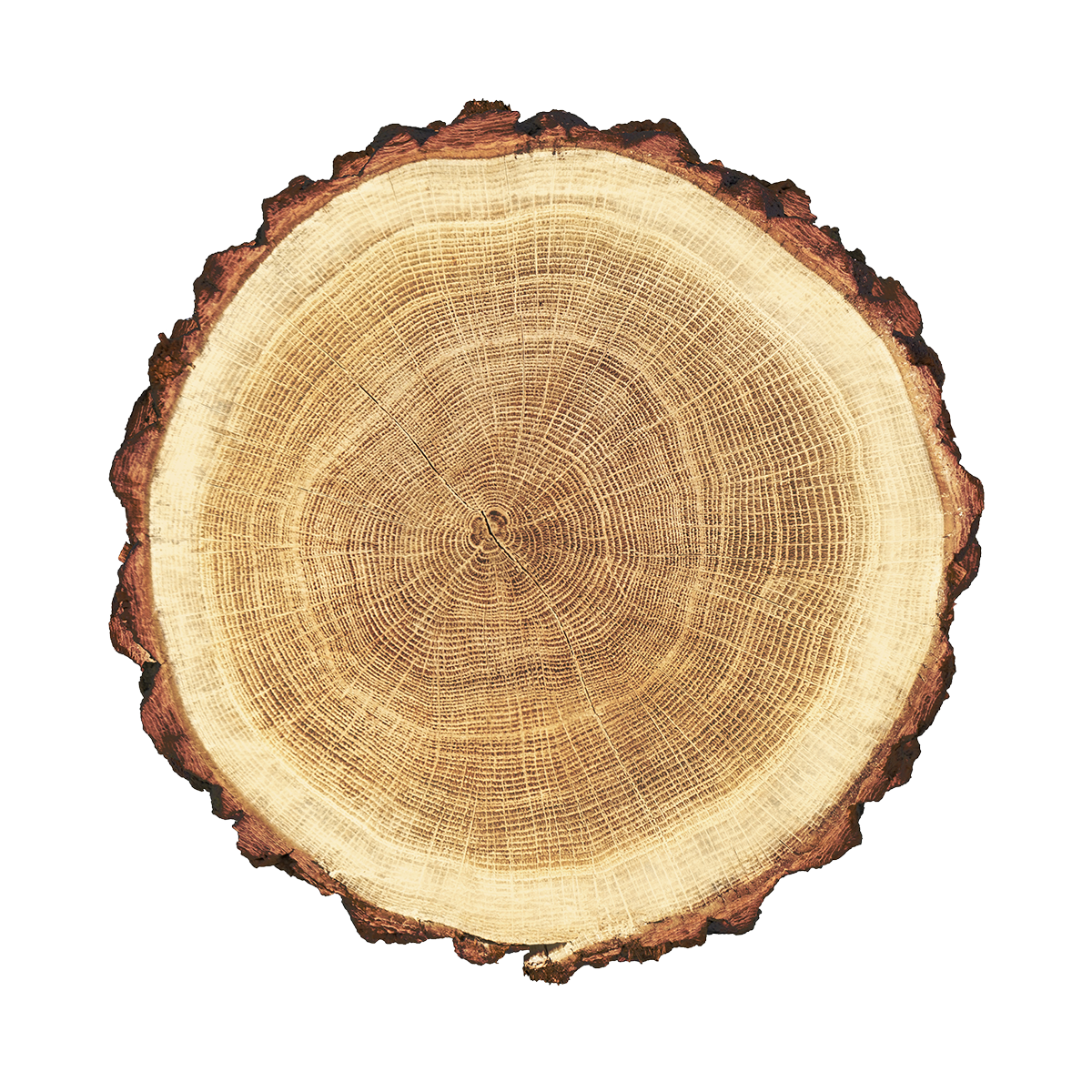 product_03 https://www.lmsverniciature.it/wp-content/uploads/2017/05/product_03.png